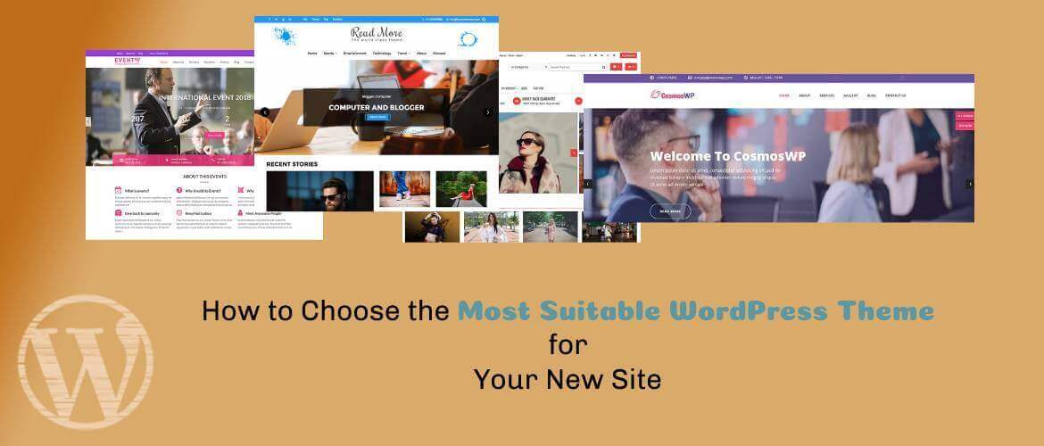 How to Choose the Most Suitable WordPress Theme for Your New Site