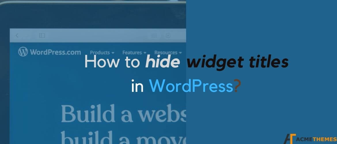 How-to-hide-widget-titles-in-WordPress?